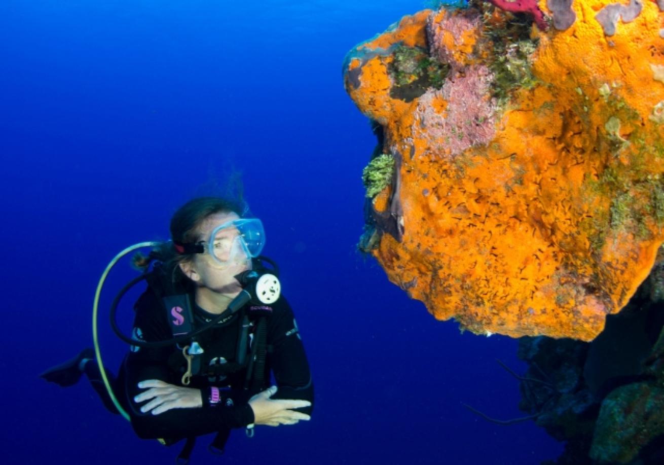 A scuba diver under water